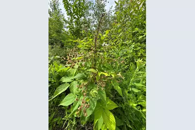 L52 Bridgton Road, Sweden, ME 04040 - Photo 12