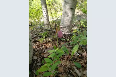 Lot # Old Commonwealth, Enfield, ME 04493 - Photo 10