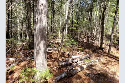 Lot # Old Commonwealth, Enfield, ME 04493 - Photo 8