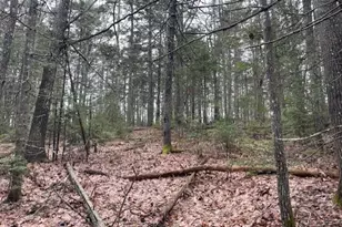 407 Waldoboro Rd, Friendship, ME 04547 - Photo 86