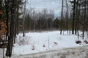Lot 3 Hancock Pond Rd, Sebago, ME 04029 - Photo 1