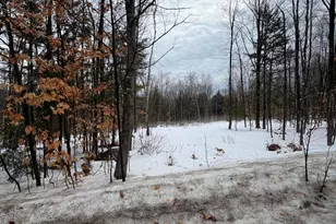 Lot 3 Hancock Pond Rd, Sebago, ME 04029 - Photo 2