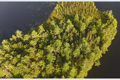 735 Mountain Road, Seboeis Plantation, ME 04448 - Photo 4