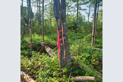 735 Mountain Road, Seboeis Plantation, ME 04448 - Photo 6