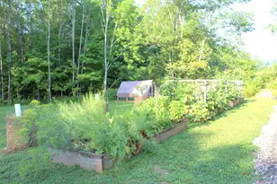 896 Moosehead Trail Hwy, Jackson, ME 04921 - Photo 8