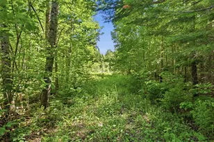 16 Moose Ln, Cary, ME 04471 - Photo 34