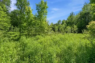 16 Moose Ln, Cary, ME 04471 - Photo 32