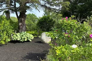 68 Village Rd, Steuben, ME 04680 - Photo 4