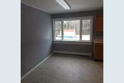 394 Transalpine Road, Lincoln, ME 04457 - Photo 10