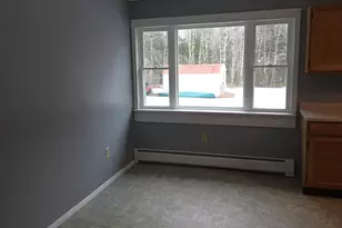 394 Transalpine Rd, Lincoln, ME 04457 - Photo 10