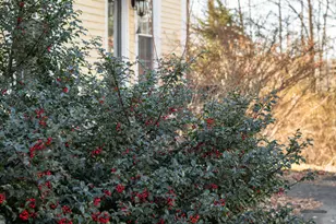 75 Main Rd, Charleston, ME 04422 - Photo 56