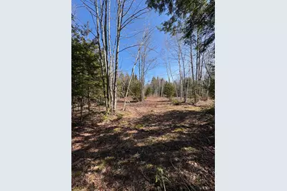 Lot 116 Bass Overlook, Waltham, ME 04605 - Photo 4