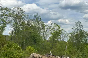 Lot A8 West Rd, Waterboro, ME 04087 - Photo 1