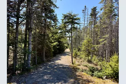 Lot 55A/72 Yoho Head Road, Machiasport, ME 04655 - Photo 16