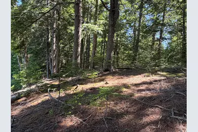 40 Benjamin Way, Waltham, ME 04605 - Photo 12