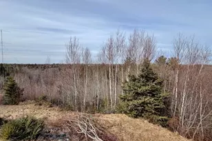 843 & 839 U S 1 Rte, Jonesboro, ME 04648 - Photo 6