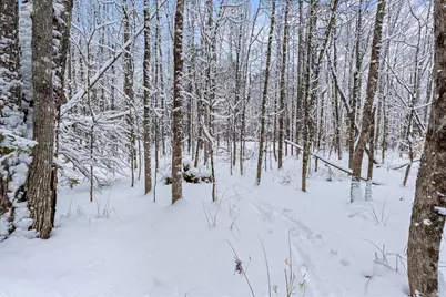 Lot 45-2 Pinewoods Trail, Oakland, ME 04963 - Photo 26