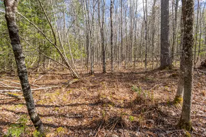 Lot 45-2 Pinewoods Trail, Oakland, ME 04963 - Photo 22