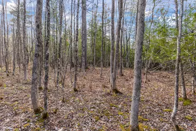 Lot 45-2 Pinewoods Trail, Oakland, ME 04963 - Photo 20