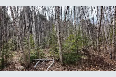 0 Woodland Drive #11, Carmel, ME 04419 - Photo 4