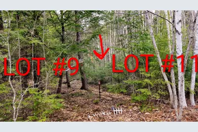 0 Woodland Drive #11, Carmel, ME 04419 - Photo 2