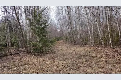 0 Woodland Drive #11, Carmel, ME 04419 - Photo 4
