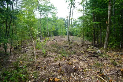 89 Chapman Road, Harrison, ME 04040 - Photo 1