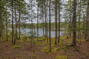 176 N Main St, Stonington, ME 04681 - Photo 34