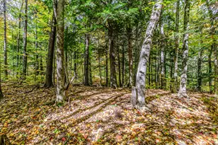 45 Viking Village Rd, Newry, ME 04261 - Photo 58