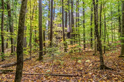 45 Viking Village Road, Newry, ME 04261 - Photo 66