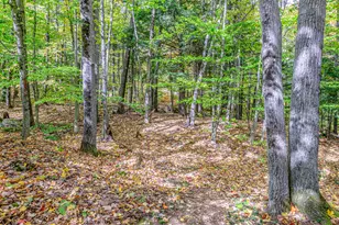 45 Viking Village Rd, Newry, ME 04261 - Photo 56