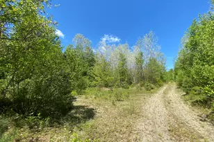 P/Om1L24 Taylor Rd, Athens, ME 04912 - Photo 1