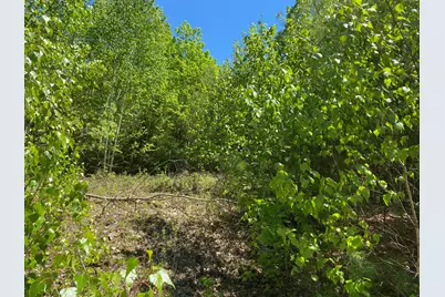 P/Om1L24 Taylor Road, Athens, ME 04912 - Photo 6
