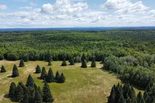 1075 W Rd, New Sweden, ME 04762 - Photo 136