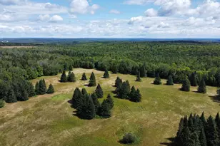1075 W Rd, New Sweden, ME 04762 - Photo 102