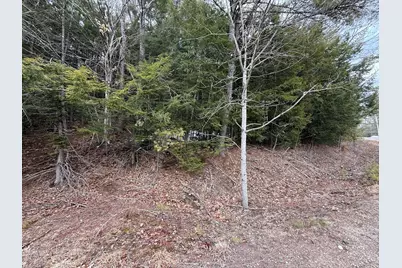 M43 L6 Shady Nook Road, Newfield, ME 04095 - Photo 4