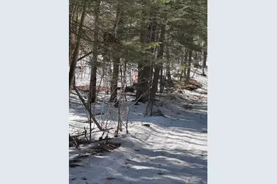 Lot #10 Goose Pond Road, Windham, ME 04062 - Photo 2