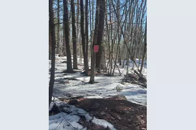Lot #10 Goose Pond Road, Windham, ME 04062 - Photo 10