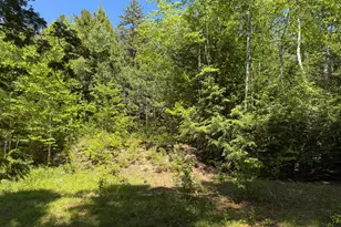Lot 3 East Shore Rd, Lakeville, ME 04487 - Photo 14