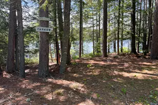Lot 3 East Shore Rd, Lakeville, ME 04487 - Photo 12
