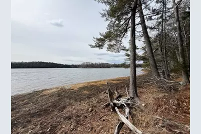 203 Garnet Head Road, Pembroke, ME 04666 - Photo 88
