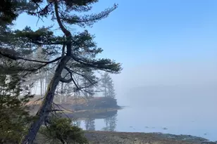 203 Garnet Head Rd, Pembroke, ME 04666 - Photo 4