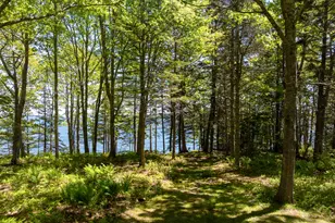 153 Back Shore Rd, Bristol, ME 04564 - Photo 86