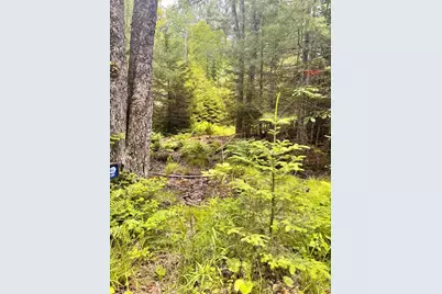 22A Pierce Pond Road, Penobscot, ME 04476 - Photo 1