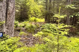22A Pierce Pond Rd, Penobscot, ME 04476 - Photo 1