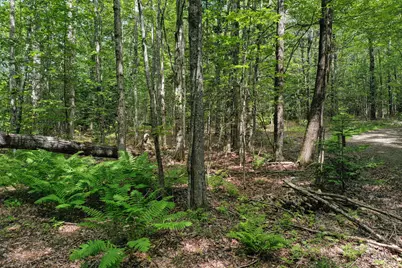 M5 L24 Goosepecker Ridge, Montville, ME 04941 - Photo 6