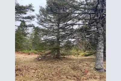 Lot 5 Copeland Hill Road, Holden, ME 04429 - Photo 2