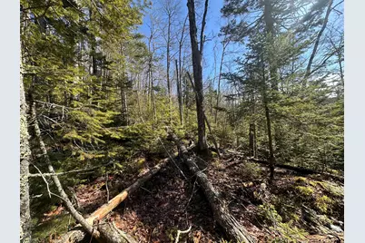 237 Knights Pond Road, Northport, ME 04849 - Photo 18