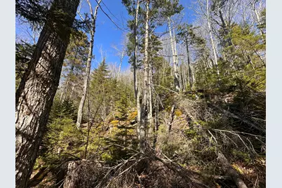 237 Knights Pond Road, Northport, ME 04849 - Photo 14