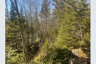 237 Knights Pond Road, Northport, ME 04849 - Photo 22